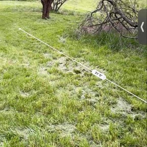Bush Trimming by One Leg Lawn Care reviewed on May 5, 2026