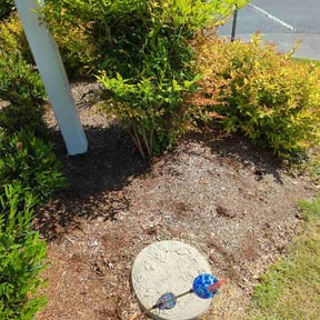 Flower Bed Weeding by Pristine Outdoor Services llc reviewed on May 23, 2026