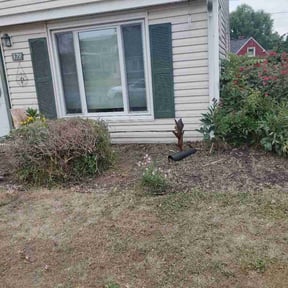 Flower Bed Weeding by After-Hours Maintenance LLC reviewed on June 19, 2026