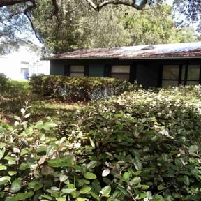 Bush Trimming by A Little Help Lawn Service reviewed on August 20, 2025