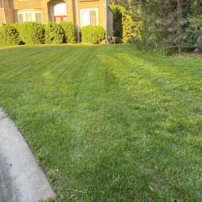 landscaping by Camp's Lawncare reviewed on August 17, 2025