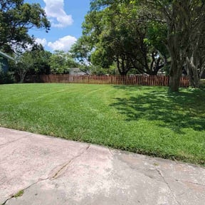 yard maintenance by Knapps elite restoration reviewed on August 15, 2025