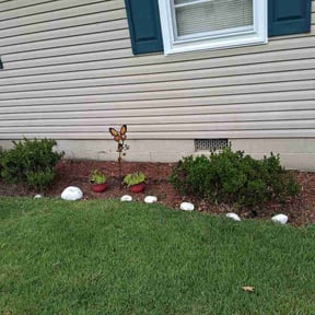 Flower Bed Weeding by Frank’s Gardening Service reviewed on July 2, 2026