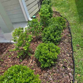 Flower Bed Weeding by Done Rite lawn maintenance reviewed on June 4, 2026