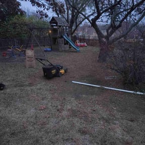 Leaf Removal by Louisiana Lawns Company reviewed on November 29, 2025