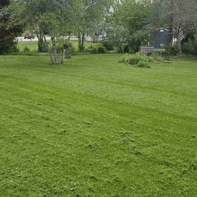 gardening service by Adkins business property maintenance reviewed on August 15, 2025