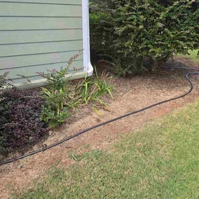 Flower Bed Weeding by Munozpropertysolutionsllc reviewed on August 30, 2026
