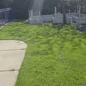 landscape maintenance by Isabell lawn services reviewed on November 21, 2025