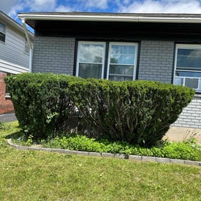 Bush Trimming by JG Main Landscaping LLC reviewed on August 18, 2025