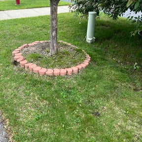 Flower Bed Weeding by Dj's Lawn Care reviewed on June 15, 2026