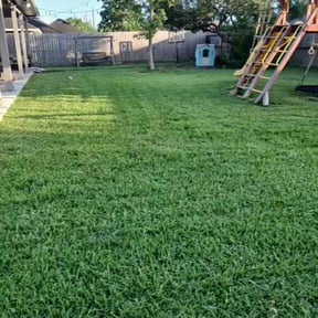 yard service by All purpose landscaping LLC reviewed on June 30, 2025