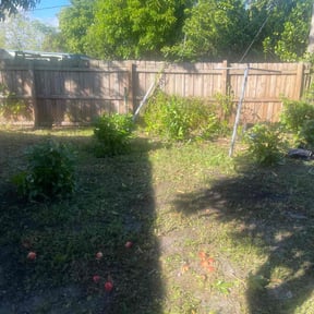 Bush Trimming by vets lawn care reviewed on November 20, 2025