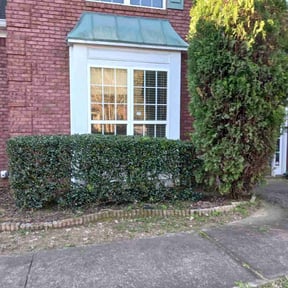 Bush Trimming by Murcia landscaping services reviewed on August 18, 2025