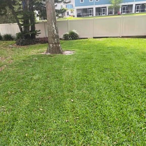 turf care by Qui property management reviewed on March 30, 2024