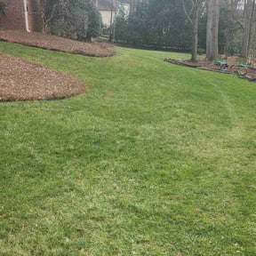 Leaf Removal by Get her done lawn service reviewed on January 22, 2026