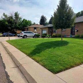 yard work by M&E Lawn Service reviewed on August 21, 2025