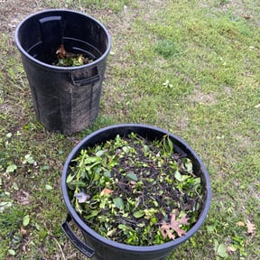 Bush Trimming by Corporate cuts lawn care reviewed on August 14, 2025