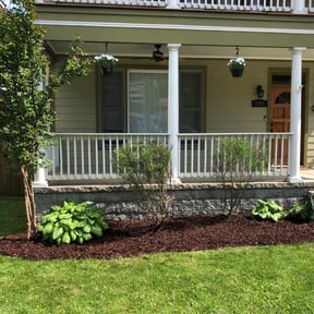 Bush Trimming by jd landscaping reviewed on August 15, 2025