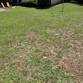 Bush Trimming by Marlon lawn service reviewed on May 31, 2026