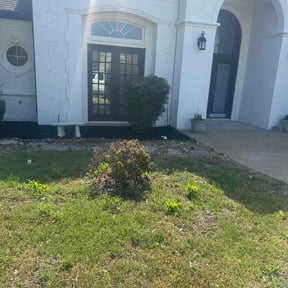 Bush Trimming by Florida man property maintenance sfl llc reviewed on May 10, 2026