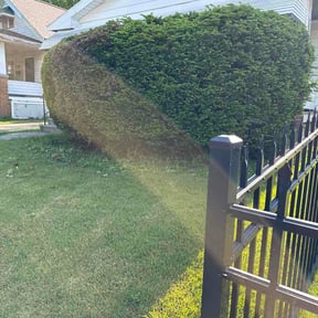 Bush Trimming by Claude’s Lawn Care Services reviewed on May 18, 2026