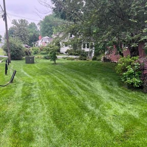 yard work by Pablo's lawn service reviewed on November 22, 2025