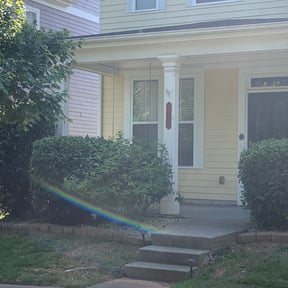 Bush Trimming by Braddy family holdings landscaping reviewed on March 10, 2024