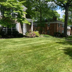 yard work by Crowder's lawn care reviewed on August 21, 2025