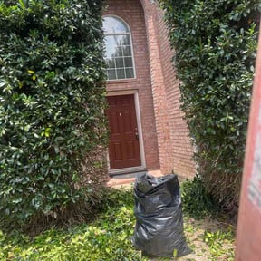 Bush Trimming by Above &amp; Beyond Landscaping LLC reviewed on June 19, 2026
