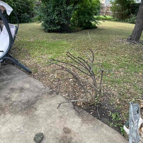 Bush Trimming by Utley's Lawn Care reviewed on August 15, 2025