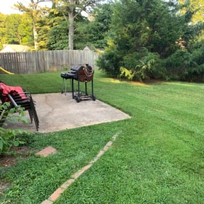 Bush Trimming by Precision Lawn Care of VA reviewed on August 15, 2025