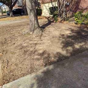 Leaf Removal by Rick's Mowing Services reviewed on March 4, 2026