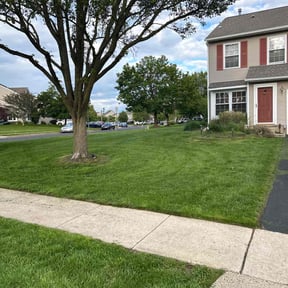 lawn maintenance by LarkinLandscaping reviewed on August 18, 2025