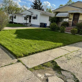 lawn care services by Flor Landscape reviewed on May 5, 2024