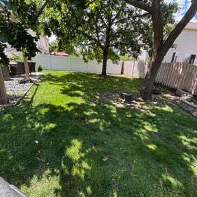 Leaf Removal by Mcm landscaping reviewed on July 2, 2026