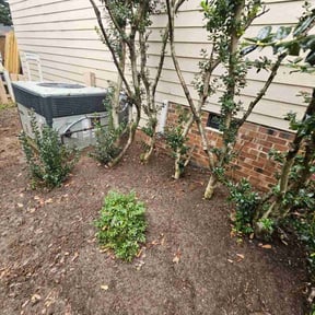 Leaf Removal by Strong Tower reviewed on September 24, 2025