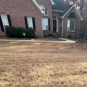 Bush Trimming by Schlener Lawn Care reviewed on August 14, 2025