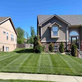 yard care by Smith Co. Lawn & Landscapes reviewed on August 16, 2025
