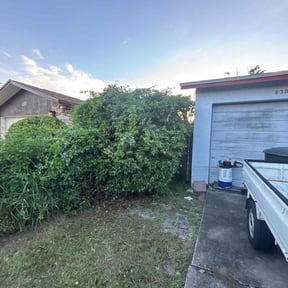 Bush Trimming by Trophy Homes Property Care LLC reviewed on November 4, 2025