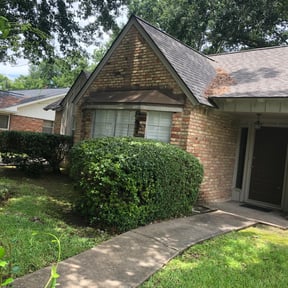 Bush Trimming by TL Professional Services LLC reviewed on August 15, 2025