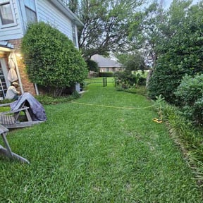 Drainage Installation by  reviewed on January 15, 2026