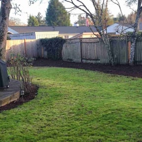 Leaf Removal by Harry's Champion Landscaping reviewed on December 3, 2025