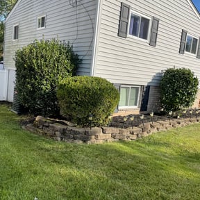 Bush Trimming by Pace Lawn and Garden reviewed on August 20, 2025