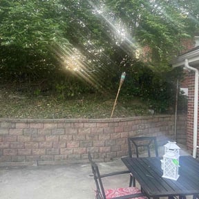 Bush Trimming by TS LAWN CARE LLC reviewed on August 17, 2025