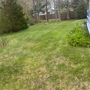 Leaf Removal by FreshStartMHC LLC reviewed on May 29, 2026