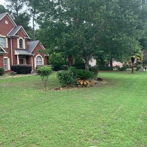 Bush Trimming by IIP Snow Removal &amp; Landscaping reviewed on July 11, 2026