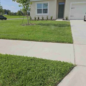 yard maintenance by Rob's &amp;sons  reviewed on December 1, 2025