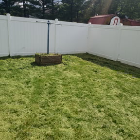Bush Trimming by E&F Lawn and landscape development reviewed on August 16, 2025