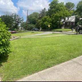 yard service by Toko Lawn Services reviewed on August 16, 2025