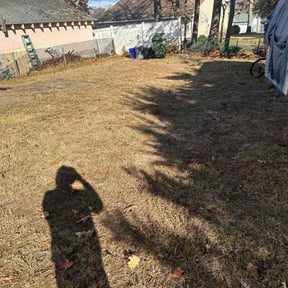 Leaf Removal by All About It services reviewed on October 3, 2025